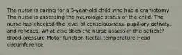 The nurse is caring for a 5-year-old child who had a craniotomy. The nurse is assessing the neurologic status of the child. The nurse has checked the level of consciousness, pupillary activity, and reflexes. What else does the nurse assess in the patient? Blood pressure Motor function Rectal temperature Head circumference