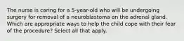 The nurse is caring for a 5-year-old who will be undergoing surgery for removal of a neuroblastoma on the adrenal gland. Which are appropriate ways to help the child cope with their fear of the procedure? Select all that apply.​