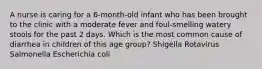 A nurse is caring for a 6-month-old infant who has been brought to the clinic with a moderate fever and foul-smelling watery stools for the past 2 days. Which is the most common cause of diarrhea in children of this age group? Shigella Rotavirus Salmonella Escherichia coli