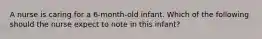 A nurse is caring for a 6-month-old infant. Which of the following should the nurse expect to note in this infant?