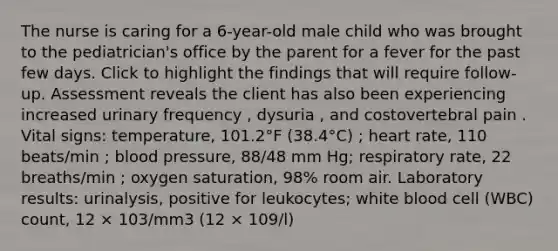 The nurse is caring for a 6-year-old male child who was brought to the pediatrician's office by the parent for a fever for the past few days. Click to highlight the findings that will require follow-up. Assessment reveals the client has also been experiencing increased urinary frequency , dysuria , and costovertebral pain . Vital signs: temperature, 101.2°F (38.4°C) ; heart rate, 110 beats/min ; blood pressure, 88/48 mm Hg; respiratory rate, 22 breaths/min ; oxygen saturation, 98% room air. Laboratory results: urinalysis, positive for leukocytes; white blood cell (WBC) count, 12 × 103/mm3 (12 × 109/l)