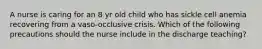 A nurse is caring for an 8 yr old child who has sickle cell anemia recovering from a vaso-occlusive crisis. Which of the following precautions should the nurse include in the discharge teaching?