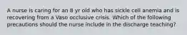 A nurse is caring for an 8 yr old who has sickle cell anemia and is recovering from a Vaso occlusive crisis. Which of the following precautions should the nurse include in the discharge teaching?