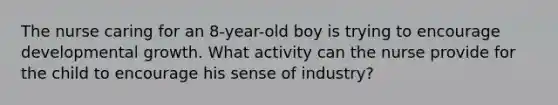 The nurse caring for an 8-year-old boy is trying to encourage developmental growth. What activity can the nurse provide for the child to encourage his sense of industry?