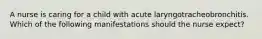 A nurse is caring for a child with acute laryngotracheobronchitis. Which of the following manifestations should the nurse expect?