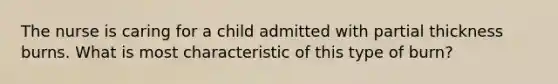 The nurse is caring for a child admitted with partial thickness burns. What is most characteristic of this type of burn?