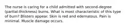 The nurse is caring for a child admitted with second-degree (partial-thickness) burns. What is most characteristic of this type of burn? Blisters appear. Skin is red and edematous. Pain is minimal. Muscle damage occurs.