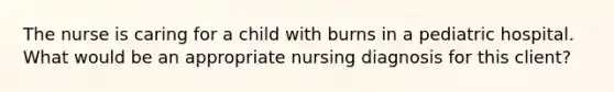 The nurse is caring for a child with burns in a pediatric hospital. What would be an appropriate nursing diagnosis for this client?