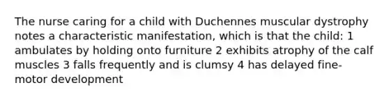 The nurse caring for a child with Duchennes muscular dystrophy notes a characteristic manifestation, which is that the child: 1 ambulates by holding onto furniture 2 exhibits atrophy of the calf muscles 3 falls frequently and is clumsy 4 has delayed fine-motor development