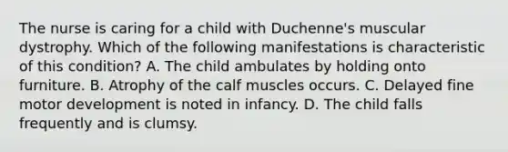 The nurse is caring for a child with Duchenne's muscular dystrophy. Which of the following manifestations is characteristic of this condition? A. The child ambulates by holding onto furniture. B. Atrophy of the calf muscles occurs. C. Delayed fine motor development is noted in infancy. D. The child falls frequently and is clumsy.