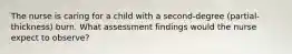 The nurse is caring for a child with a second-degree (partial-thickness) burn. What assessment findings would the nurse expect to observe?