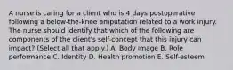 A nurse is caring for a client who is 4 days postoperative following a below-the-knee amputation related to a work injury. The nurse should identify that which of the following are components of the client's self-concept that this injury can impact? (Select all that apply.) A. Body image B. Role performance C. Identity D. Health promotion E. Self-esteem