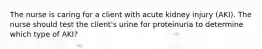 The nurse is caring for a client with acute kidney injury (AKI). The nurse should test the client's urine for proteinuria to determine which type of AKI?