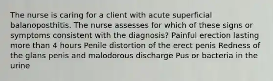 The nurse is caring for a client with acute superficial balanoposthitis. The nurse assesses for which of these signs or symptoms consistent with the diagnosis? Painful erection lasting more than 4 hours Penile distortion of the erect penis Redness of the glans penis and malodorous discharge Pus or bacteria in the urine