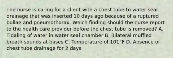 The nurse is caring for a client with a chest tube to water seal drainage that was inserted 10 days ago because of a ruptured bullae and pneumothorax. Which finding should the nurse report to the health care provider before the chest tube is removed? A. Tidaling of water in water seal chamber B. Bilateral muffled breath sounds at bases C. Temperature of 101°F D. Absence of chest tube drainage for 2 days