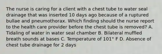 The nurse is caring for a client with a chest tube to water seal drainage that was inserted 10 days ago because of a ruptured bullae and pneumothorax. Which finding should the nurse report to the health care provider before the chest tube is removed? A. Tidaling of water in water seal chamber B. Bilateral muffled breath sounds at bases C. Temperature of 101° F D. Absence of chest tube drainage for 2 days