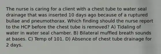 The nurse is caring for a client with a chest tube to water seal drainage that was inserted 10 days ago because of a ruptured bullae and pneumothorax. Which finding should the nurse report to the HCP before the chest tube is removed? A) Tidaling of water in water seal chamber. B) Bilateral muffled breath sounds at bases. C) Temp of 101. D) Absence of chest tube drainage for 2 days.