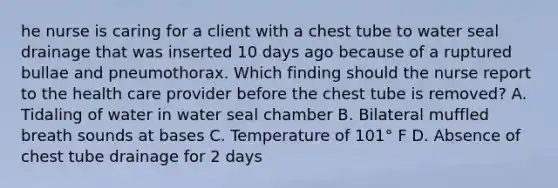 he nurse is caring for a client with a chest tube to water seal drainage that was inserted 10 days ago because of a ruptured bullae and pneumothorax. Which finding should the nurse report to the health care provider before the chest tube is removed? A. Tidaling of water in water seal chamber B. Bilateral muffled breath sounds at bases C. Temperature of 101° F D. Absence of chest tube drainage for 2 days