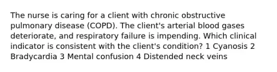 The nurse is caring for a client with chronic obstructive pulmonary disease (COPD). The client's arterial blood gases deteriorate, and respiratory failure is impending. Which clinical indicator is consistent with the client's condition? 1 Cyanosis 2 Bradycardia 3 Mental confusion 4 Distended neck veins