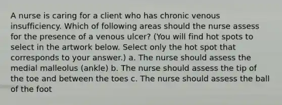 A nurse is caring for a client who has chronic venous insufficiency. Which of following areas should the nurse assess for the presence of a venous ulcer? (You will find hot spots to select in the artwork below. Select only the hot spot that corresponds to your answer.) a. The nurse should assess the medial malleolus (ankle) b. The nurse should assess the tip of the toe and between the toes c. The nurse should assess the ball of the foot