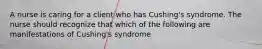 A nurse is caring for a client who has Cushing's syndrome. The nurse should recognize that which of the following are manifestations of Cushing's syndrome