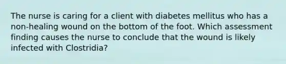 The nurse is caring for a client with diabetes mellitus who has a non-healing wound on the bottom of the foot. Which assessment finding causes the nurse to conclude that the wound is likely infected with Clostridia?