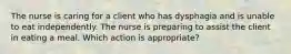 The nurse is caring for a client who has dysphagia and is unable to eat independently. The nurse is preparing to assist the client in eating a meal. Which action is appropriate?