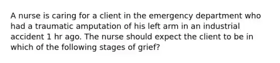 A nurse is caring for a client in the emergency department who had a traumatic amputation of his left arm in an industrial accident 1 hr ago. The nurse should expect the client to be in which of the following stages of grief?