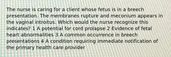 The nurse is caring for a client whose fetus is in a breech presentation. The membranes rupture and meconium appears in the vaginal introitus. Which would the nurse recognize this indicates? 1 A potential for cord prolapse 2 Evidence of fetal heart abnormalities 3 A common occurrence in breech presentations 4 A condition requiring immediate notification of the primary health care provider