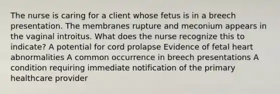 The nurse is caring for a client whose fetus is in a breech presentation. The membranes rupture and meconium appears in the vaginal introitus. What does the nurse recognize this to indicate? A potential for cord prolapse Evidence of fetal heart abnormalities A common occurrence in breech presentations A condition requiring immediate notification of the primary healthcare provider