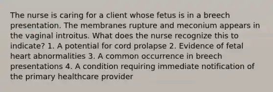 The nurse is caring for a client whose fetus is in a breech presentation. The membranes rupture and meconium appears in the vaginal introitus. What does the nurse recognize this to indicate? 1. A potential for cord prolapse 2. Evidence of fetal heart abnormalities 3. A common occurrence in breech presentations 4. A condition requiring immediate notification of the primary healthcare provider