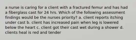 a nurse is caring for a client with a fractured femur and has had a fiberglass cast for 24 hrs. Which of the following assessment findings would be the nurses priority? a. client reports itching under cast b. client has increased pain when leg is lowered below the heart c. client got their cast wet during a shower d. clients heal is red and tender