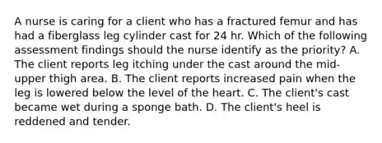 A nurse is caring for a client who has a fractured femur and has had a fiberglass leg cylinder cast for 24 hr. Which of the following assessment findings should the nurse identify as the priority? A. The client reports leg itching under the cast around the mid-upper thigh area. B. The client reports increased pain when the leg is lowered below the level of the heart. C. The client's cast became wet during a sponge bath. D. The client's heel is reddened and tender.