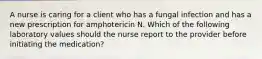 A nurse is caring for a client who has a fungal infection and has a new prescription for amphotericin N. Which of the following laboratory values should the nurse report to the provider before initiating the medication?