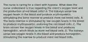 The nurse is caring for a client with hypoxia. What does the nurse understand is true regarding the client's oxygen level and the production of red blood cells? A. The kidneys sense low oxygen levels in the blood and produce erythropoietin, stimulating the bone marrow to produce more red blood cells. B. The bone marrow is stimulated by low oxygen levels in the blood to produce erythropoietin, maturing the red blood cells. C. The brain senses low oxygen levels in the blood and produces hemoglobin, which binds to more red blood cells. D. The kidneys sense low oxygen levels in the blood and produce hemoglobin, stimulating the marrow to produce more red blood cells.