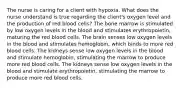 The nurse is caring for a client with hypoxia. What does the nurse understand is true regarding the client's oxygen level and the production of red blood cells? The bone marrow is stimulated by low oxygen levels in the blood and stimulates erythropoietin, maturing the red blood cells. The brain senses low oxygen levels in the blood and stimulates hemoglobin, which binds to more red blood cells. The kidneys sense low oxygen levels in the blood and stimulate hemoglobin, stimulating the marrow to produce more red blood cells. The kidneys sense low oxygen levels in the blood and stimulate erythropoietin, stimulating the marrow to produce more red blood cells.