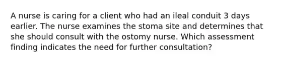 A nurse is caring for a client who had an ileal conduit 3 days earlier. The nurse examines the stoma site and determines that she should consult with the ostomy nurse. Which assessment finding indicates the need for further consultation?