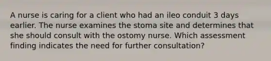 A nurse is caring for a client who had an ileo conduit 3 days earlier. The nurse examines the stoma site and determines that she should consult with the ostomy nurse. Which assessment finding indicates the need for further consultation?