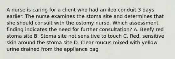 A nurse is caring for a client who had an ileo conduit 3 days earlier. The nurse examines the stoma site and determines that she should consult with the ostomy nurse. Which assessment finding indicates the need for further consultation? A. Beefy red stoma site B. Stoma site not sensitive to touch C. Red, sensitive skin around the stoma site D. Clear mucus mixed with yellow urine drained from the appliance bag