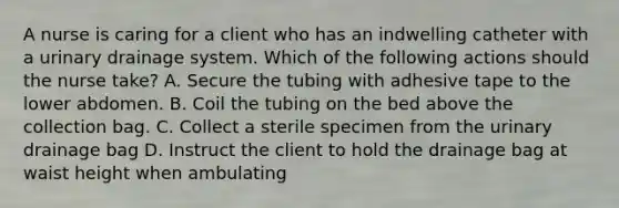 A nurse is caring for a client who has an indwelling catheter with a urinary drainage system. Which of the following actions should the nurse take? A. Secure the tubing with adhesive tape to the lower abdomen. B. Coil the tubing on the bed above the collection bag. C. Collect a sterile specimen from the urinary drainage bag D. Instruct the client to hold the drainage bag at waist height when ambulating