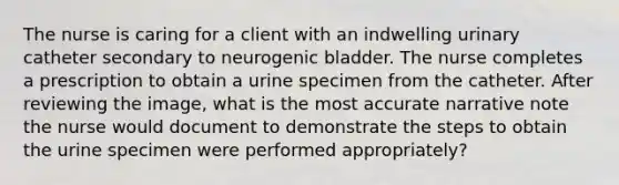 The nurse is caring for a client with an indwelling urinary catheter secondary to neurogenic bladder. The nurse completes a prescription to obtain a urine specimen from the catheter. After reviewing the image, what is the most accurate narrative note the nurse would document to demonstrate the steps to obtain the urine specimen were performed appropriately?