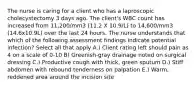 The nurse is caring for a client who has a laproscopic cholecystectomy 3 days ago. The client's WBC count has increased from 11,200/mm3 (11.2 X 10.9/L) to 14,600/mm3 (14.6x10.9L) over the last 24 hours. The nurse understands that which of the following assessment findings indicate potential infection? Select all that apply A.) Client rating left should pain as 4 on a scale of 0-10 B) Greenish-gray drainage noted on surgical dressing C.) Productive cough with thick, green sputum D.) Stiff abdomen with rebound tenderness on palpation E.) Warm, reddened area around the incision site