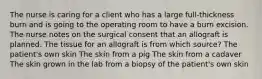 The nurse is caring for a client who has a large full-thickness burn and is going to the operating room to have a burn excision. The nurse notes on the surgical consent that an allograft is planned. The tissue for an allograft is from which source? The patient's own skin The skin from a pig The skin from a cadaver The skin grown in the lab from a biopsy of the patient's own skin