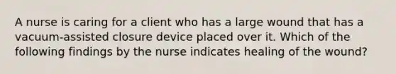 A nurse is caring for a client who has a large wound that has a vacuum-assisted closure device placed over it. Which of the following findings by the nurse indicates healing of the wound?