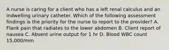 A nurse is caring for a client who has a left renal calculus and an indwelling urinary catheter. Which of the following assessment findings is the priority for the nurse to report to the provider? A. Flank pain that radiates to the lower abdomen B. Client report of nausea C. Absent urine output for 1 hr D. Blood WBC count 15,000/mm