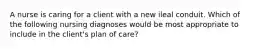 A nurse is caring for a client with a new ileal conduit. Which of the following nursing diagnoses would be most appropriate to include in the client's plan of care?