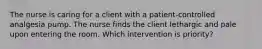 The nurse is caring for a client with a patient-controlled analgesia pump. The nurse finds the client lethargic and pale upon entering the room. Which intervention is priority?