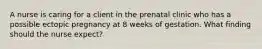 A nurse is caring for a client in the prenatal clinic who has a possible ectopic pregnancy at 8 weeks of gestation. What finding should the nurse expect?