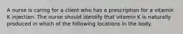 A nurse is caring for a client who has a prescription for a vitamin K injection. The nurse should identify that vitamin K is naturally produced in which of the following locations in the body.