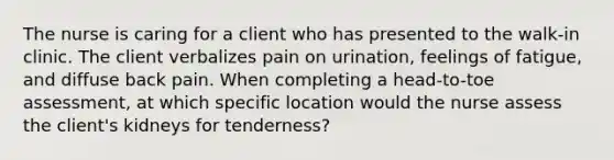 The nurse is caring for a client who has presented to the walk-in clinic. The client verbalizes pain on urination, feelings of fatigue, and diffuse back pain. When completing a head-to-toe assessment, at which specific location would the nurse assess the client's kidneys for tenderness?